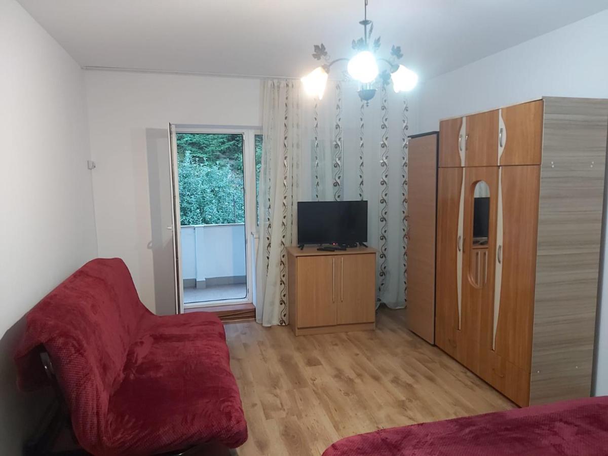 Apartament Nemira 슬래닉몰도바 외부 사진