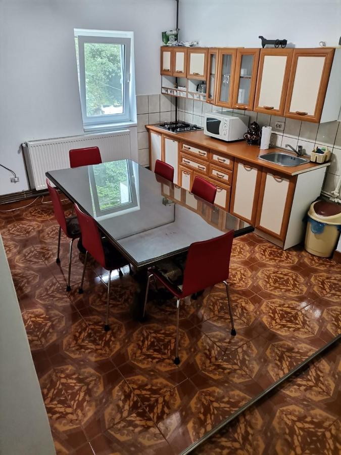 Apartament Nemira 슬래닉몰도바 외부 사진