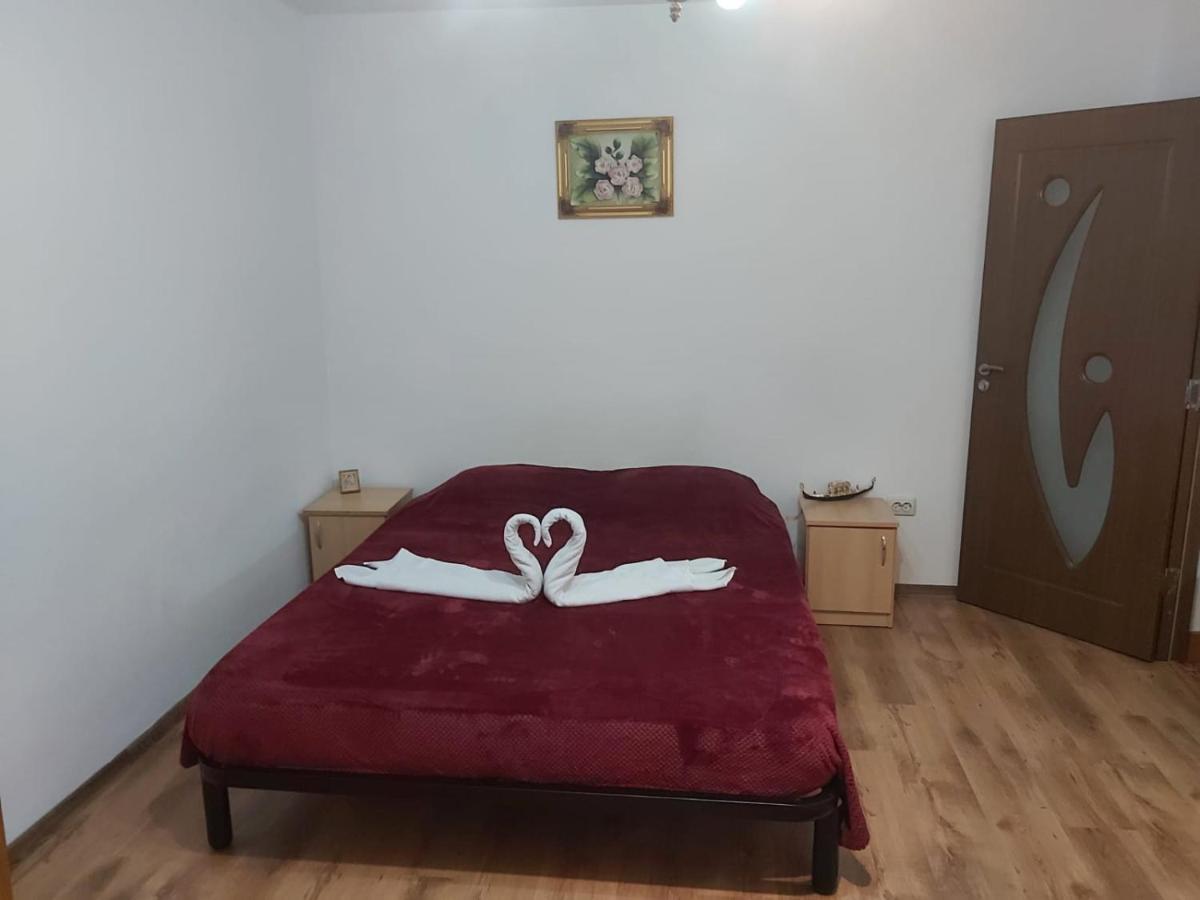 Apartament Nemira 슬래닉몰도바 외부 사진