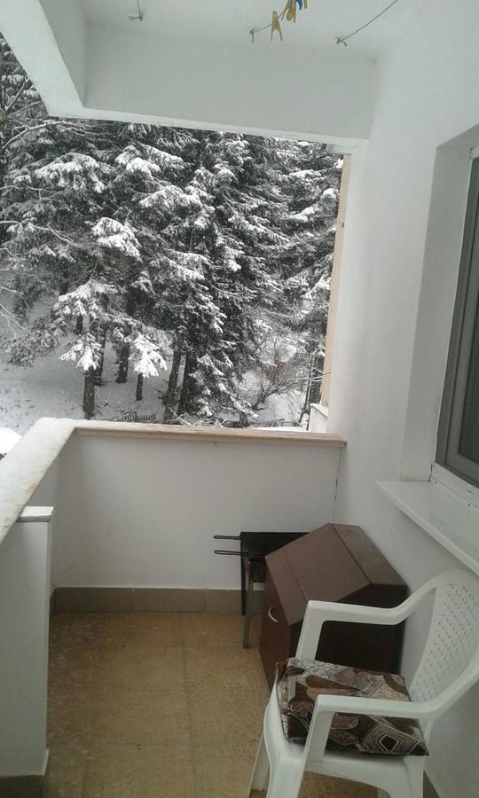 Apartament Nemira 슬래닉몰도바 외부 사진